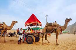 Rajasthan Desert Safari