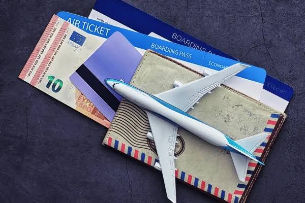 Domestic Flight Ticket