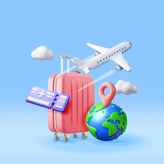 Traveller with ticket and luggage